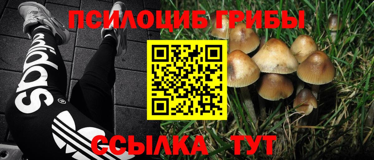 Ачхой-Мартан  Псилоцибиновые грибы GOLDEN TEACHER  Псилоцибиновые грибы Magic Shrooms  Вход с VPN 