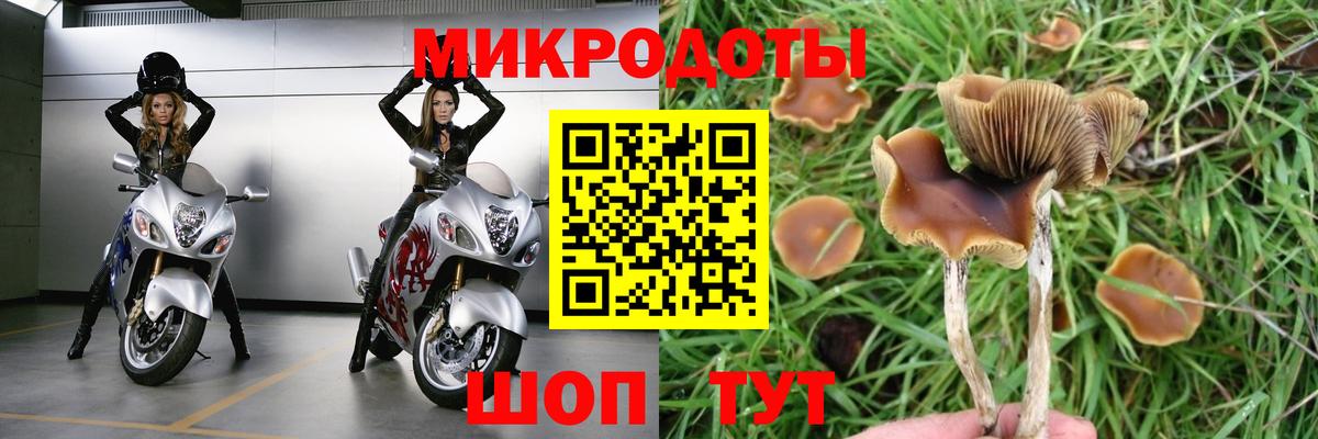Псилоцибиновые грибы MAGIC MUSHROOMS Ачхой-Мартан